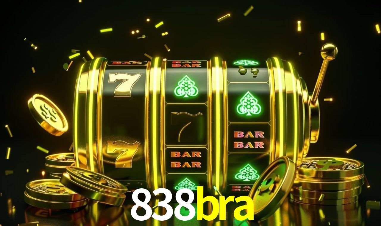 Sistema VIP 838bra